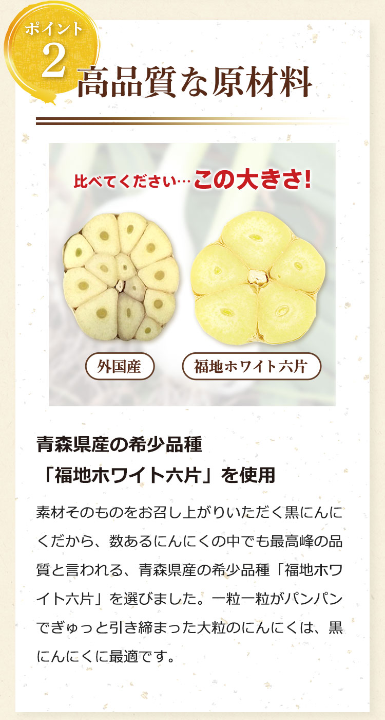 ポイント2:高品質な原材料……青森県産の希少品種「福地ホワイト六片」を使用。素材そのものをお召し上がりいただく黒にんにくだから、数あるにんにくの中でも最高峰の品質と言われる、青森県産の希少品種「福地ホワイト六片」を選びました。一粒一粒がパンパンでぎゅっと引き締まった大粒のにんにくは、黒にんにくに最適です。(イメージ)比べてください…この大きさ! 外国産/福地ホワイト六片